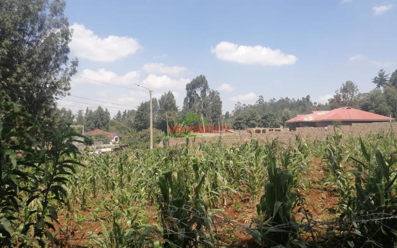Plot For Sale In Kikuyu, Gikambura.