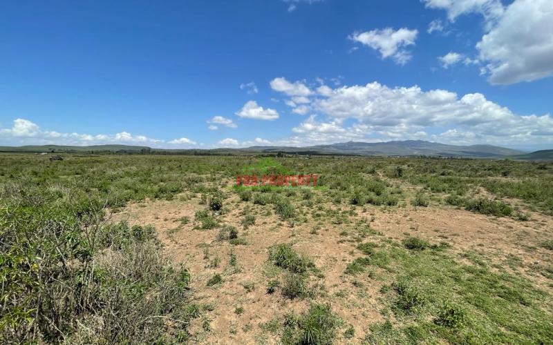 50 By 100 Ft Plots For Sale In Gilgil Naivasha