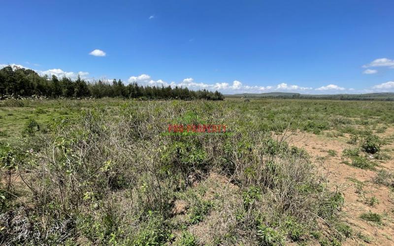 50 By 100 Ft Plots For Sale In Gilgil Naivasha