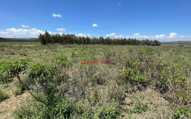 50 By 100 Ft Plots For Sale In Gilgil Naivasha