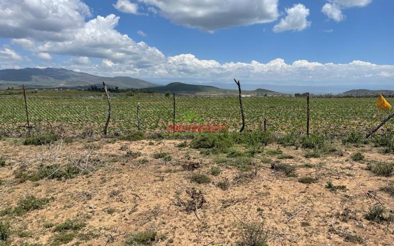 50 By 100 Ft Plots For Sale In Gilgil Naivasha