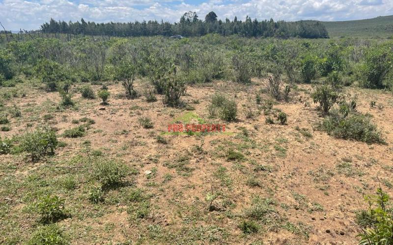 50 By 100 Ft Plots For Sale In Gilgil Naivasha