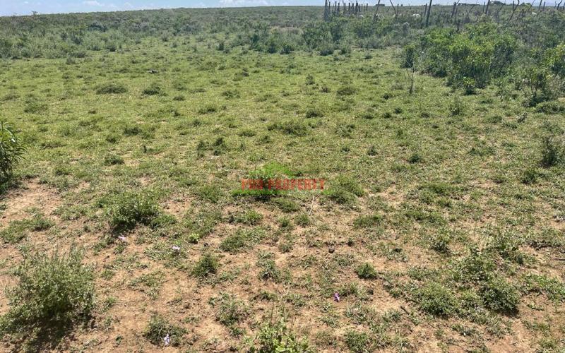 50 By 100 Ft Plots For Sale In Gilgil Naivasha