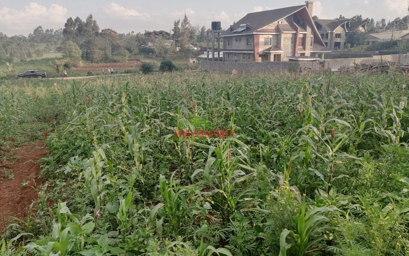Prime Half Acre Plot For Sale In Kikuyu, Ondiri.