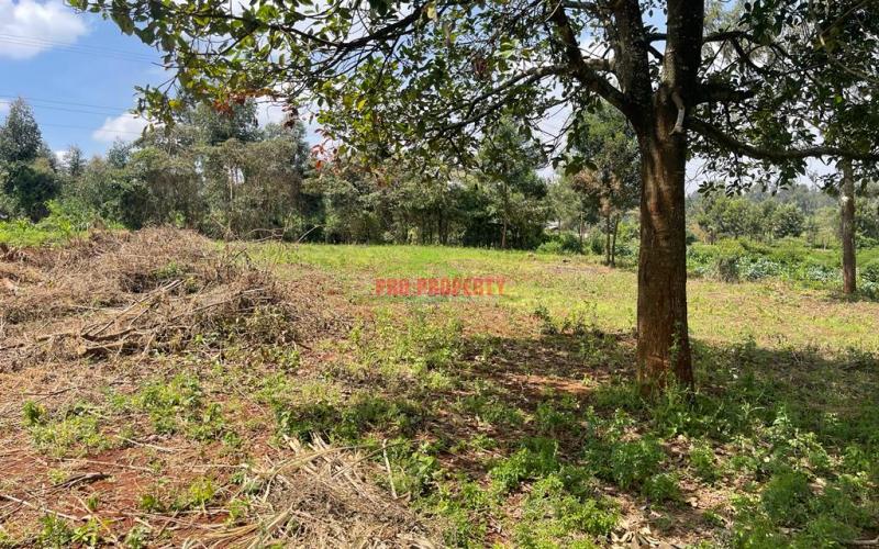 Prime Plot For Sale In Kikuyu, Gikambura.