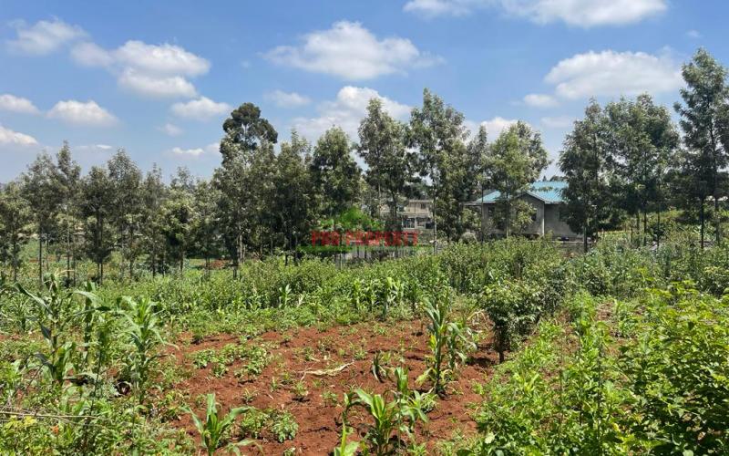 Prime Plot For Sale In Kikuyu, Gikambura.