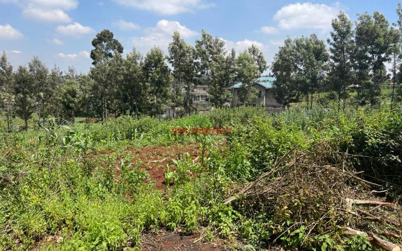 Prime Plot For Sale In Kikuyu, Gikambura.