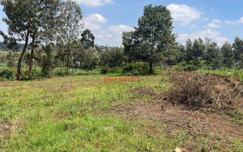 Prime Plot For Sale In Kikuyu, Gikambura.