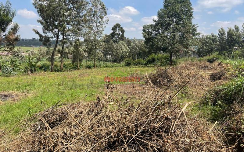 Prime Plot For Sale In Kikuyu, Gikambura.