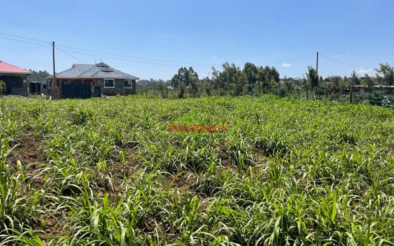 Prime Residential Plot For Sale In Kikuyu, Kamangu.