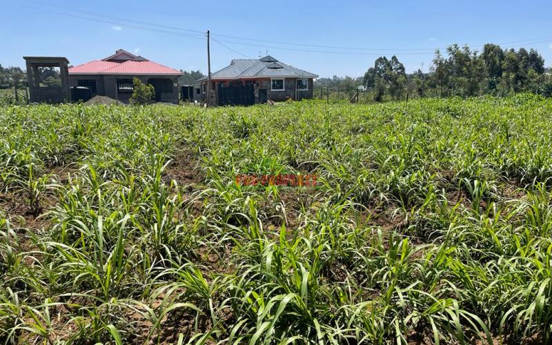 Prime Residential Plot For Sale In Kikuyu, Kamangu.