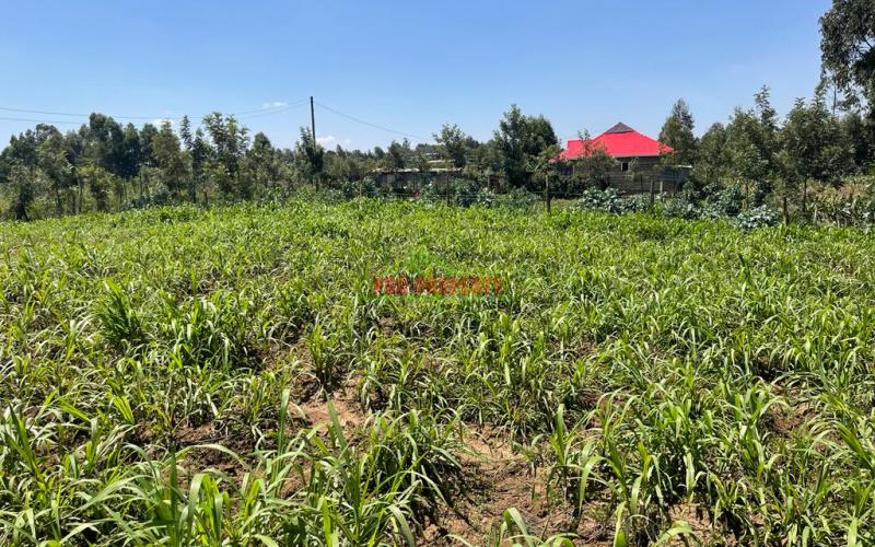 Prime Residential Plot For Sale In Kikuyu, Kamangu.