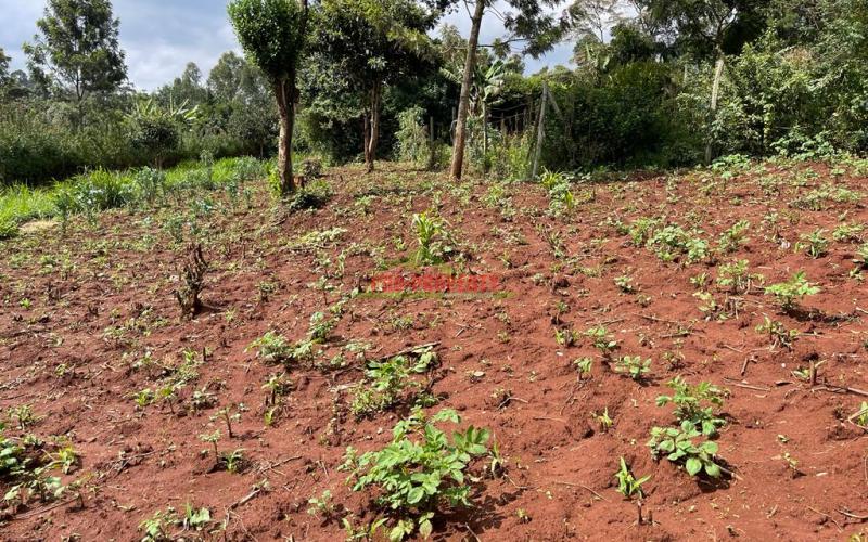 Residential Plot For Sale In Kikuyu, Gikambura.