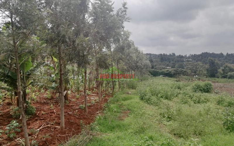 Prime Residential 50 By 100 Fts Plot For Sale In Kikuyu Kamangu (migumoini).