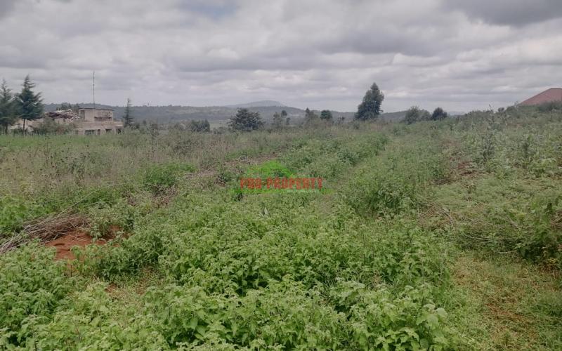 Prime Residential 50 By 100 Fts Plot For Sale In Kikuyu Kamangu (migumoini).