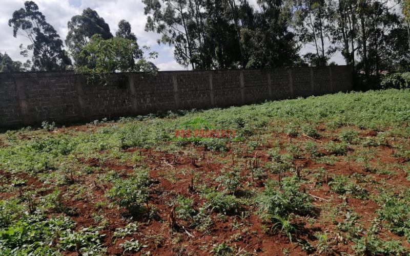 Commercial Plot For Sale In Sigona.