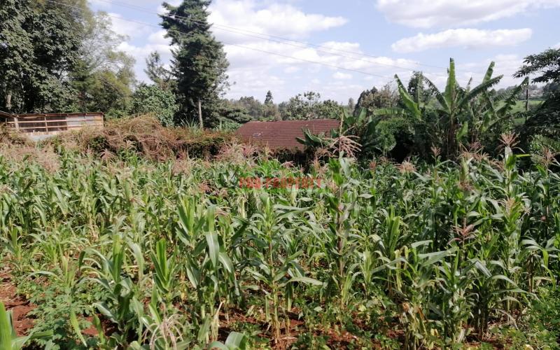Prime Commercial Plot For Sale In Kikuyu Town.