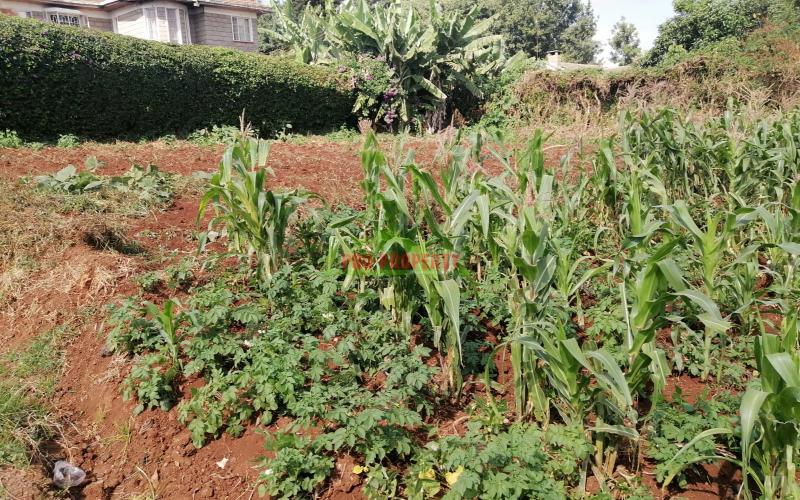 Prime Commercial Plot For Sale In Kikuyu Town.