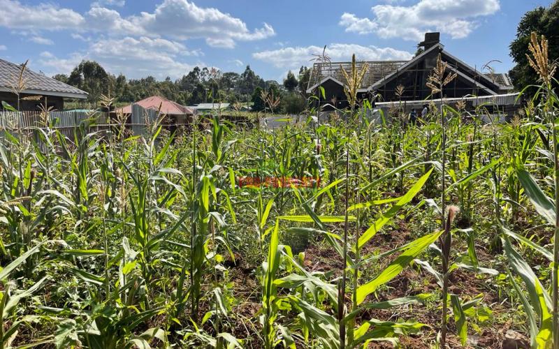 Prime Residential Plot For Sale In Kikuyu, Kamangu (kiambu County) In A Gated Community Concept.