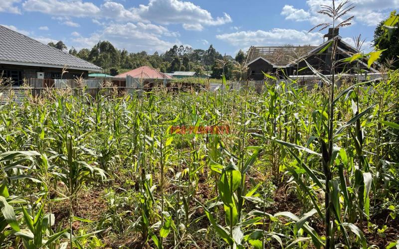 Prime Residential Plot For Sale In Kikuyu, Kamangu (kiambu County) In A Gated Community Concept.