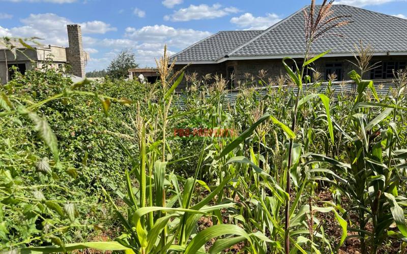 Prime Residential Plot For Sale In Kikuyu, Kamangu (kiambu County) In A Gated Community Concept.