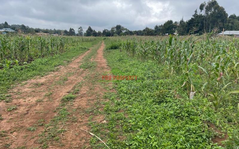 Prime Plots For Sale In Kikuyu, Kamangu (ngamba Area).