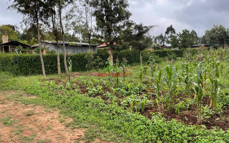 Prime Plots For Sale In Kikuyu, Kamangu (ngamba Area).