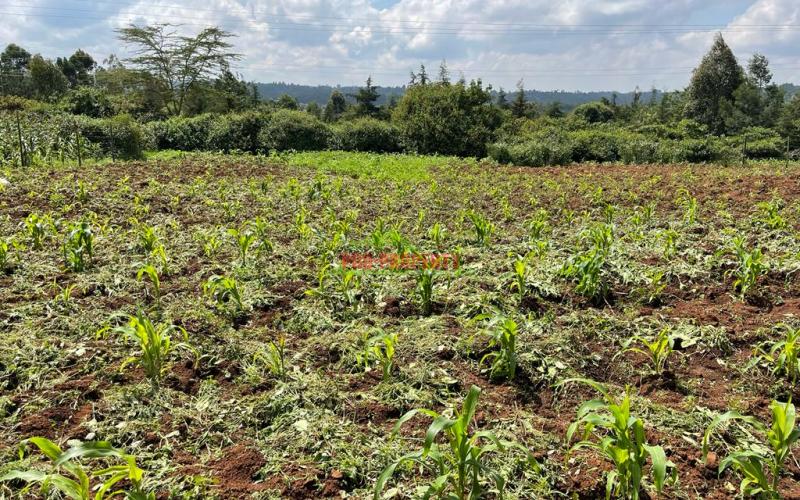 Residential Plot For Sale In Kikuyu, Lusigetti (kiambu County)