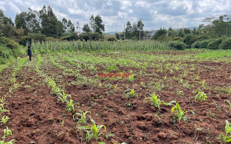 Residential Plot For Sale In Kikuyu, Lusigetti (kiambu County)