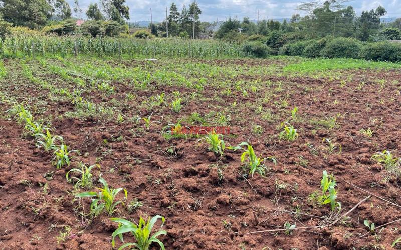 Residential Plot For Sale In Kikuyu, Lusigetti (kiambu County)