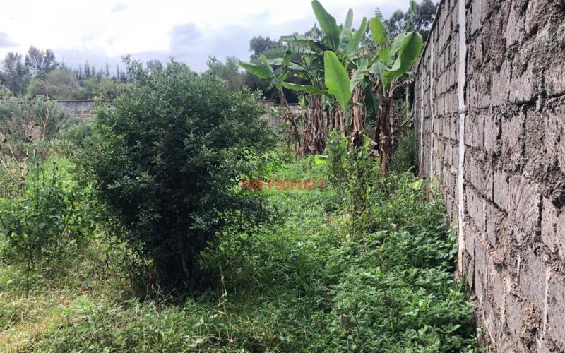 Prime Fenced Plot For Sale In Kikuyu, Gikambura.