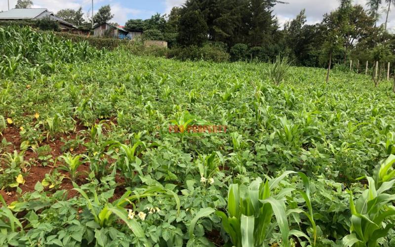 Prime Quarter Plot For Sale In Kikuyu, Gikambura.