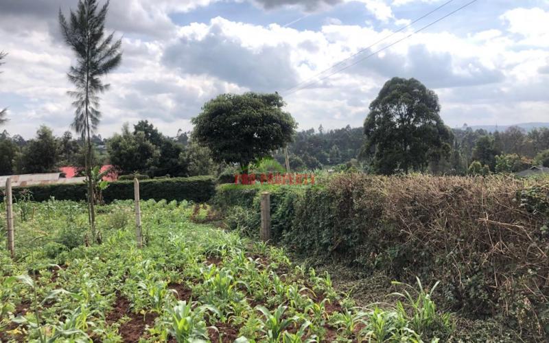 Prime Quarter Plot For Sale In Kikuyu, Gikambura.