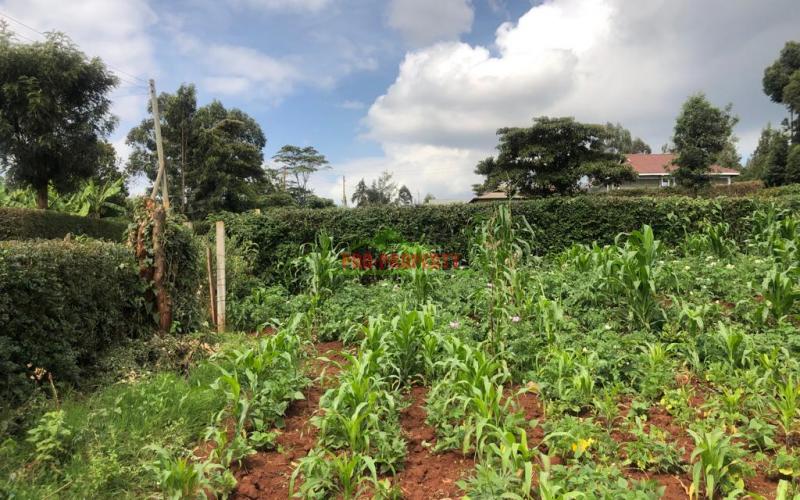 Prime Quarter Plot For Sale In Kikuyu, Gikambura.