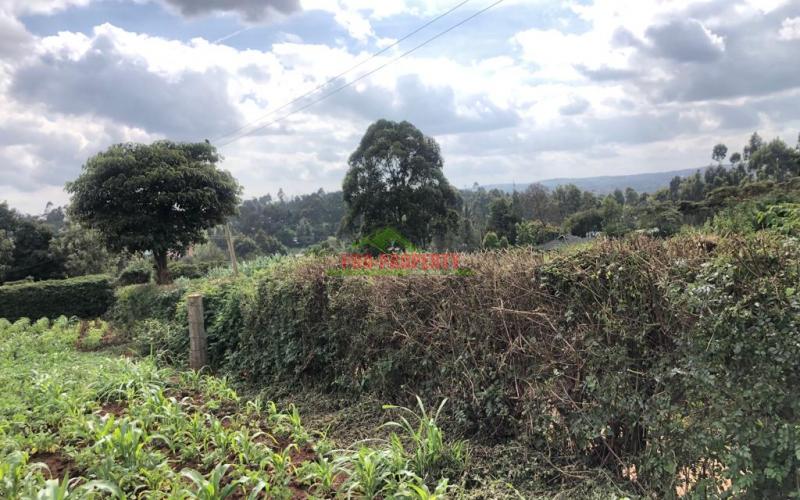 Prime Quarter Plot For Sale In Kikuyu, Gikambura.