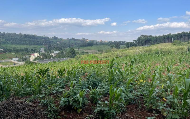 Prime Residential Plot For Sale In Kikuyu, Ondiri (kiambu County) With Amazing Views Of The Area And Kikuyu Town.