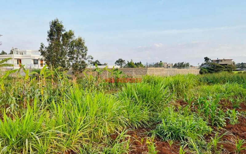 Prime Residential Plot For Sale In Kikuyu, Gikambura.