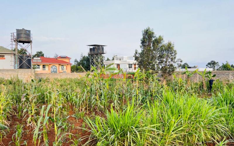 Prime Residential Plot For Sale In Kikuyu, Gikambura.