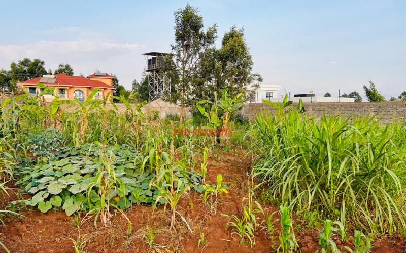 Prime Residential Plot For Sale In Kikuyu, Gikambura.