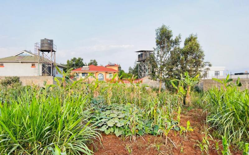 Prime Residential Plot For Sale In Kikuyu, Gikambura.