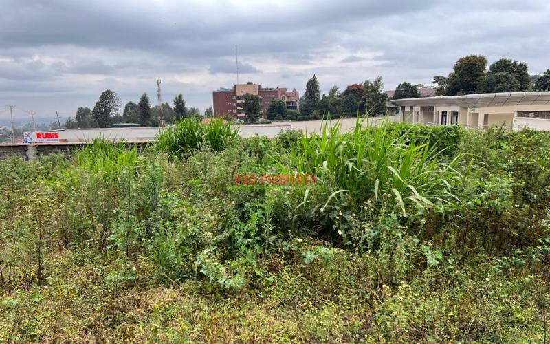 Prime Commercial 100x100 Plot For Sale In Kikuyu, Sigona (touching Tarmac).