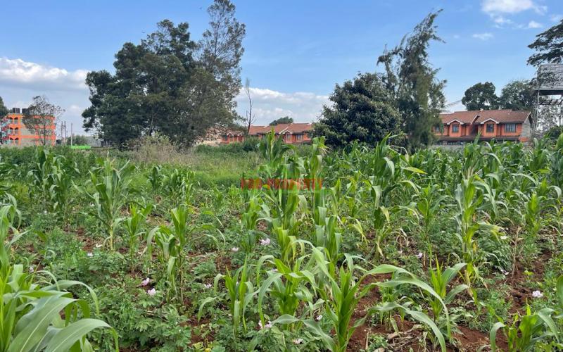 Prime 50 By 100 Fts Plot For Sale In Kikuyu, Sigona Along Waiyaki Way.