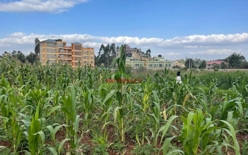 Prime 50 By 100 Fts Plot For Sale In Kikuyu, Sigona Along Waiyaki Way.