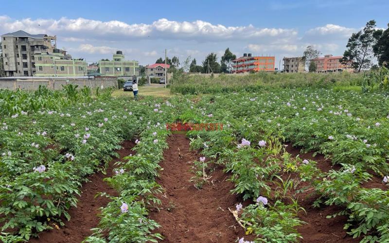 Prime 50 By 100 Fts Plot For Sale In Kikuyu, Sigona Along Waiyaki Way.