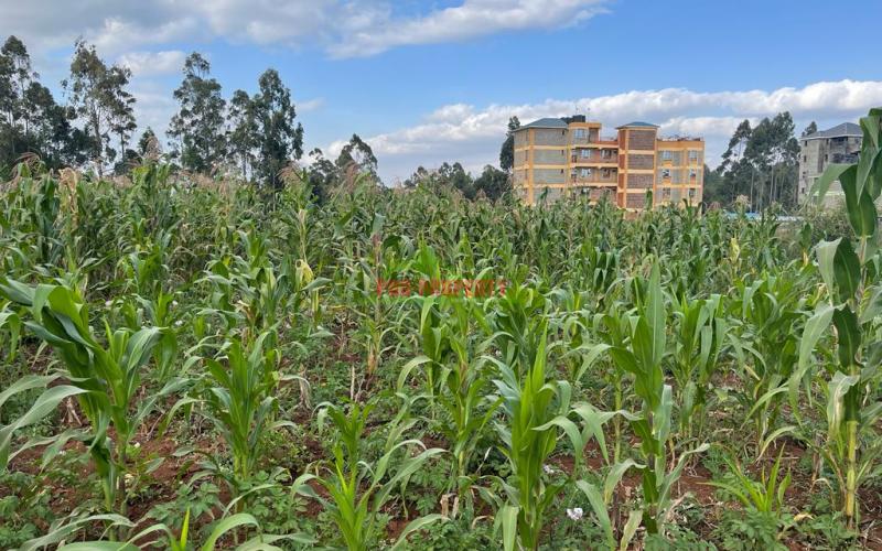 Prime 50 By 100 Fts Plot For Sale In Kikuyu, Sigona Along Waiyaki Way.