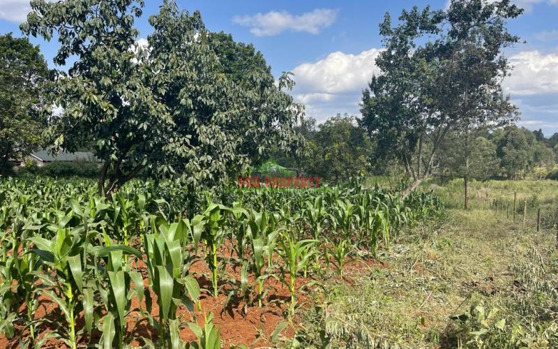 Prime Half Acre Plot For Sale In Kikuyu, Ondiri.