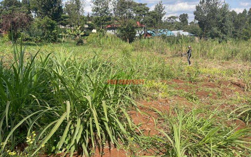 Prime Half Acre Plot For Sale In Kikuyu, Ondiri.