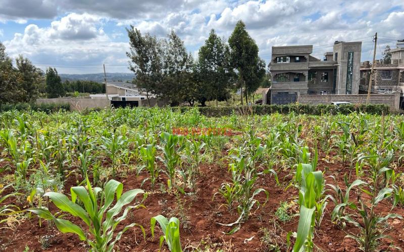 Prime Residential Plot For Sale In Kikuyu, Gikambura (along Jambu Tv Road).