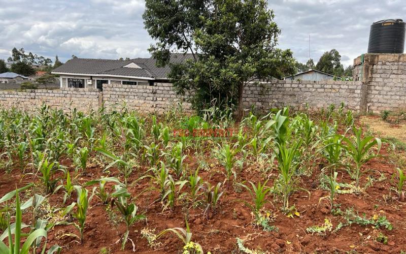 Prime Residential Plot For Sale In Kikuyu, Gikambura (along Jambu Tv Road).
