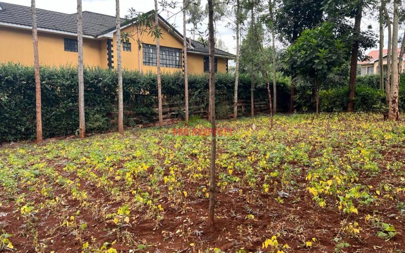 Prime Residential Plot for Sale in Kabete, Fortsmith Gardens.